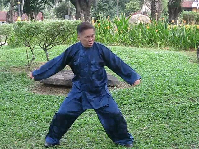 Wu Yu Xiang Style Taijiquan